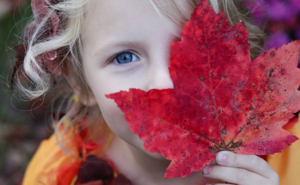 how-to-make-beautiful-land-art-with-your-kids-rediscovered-families