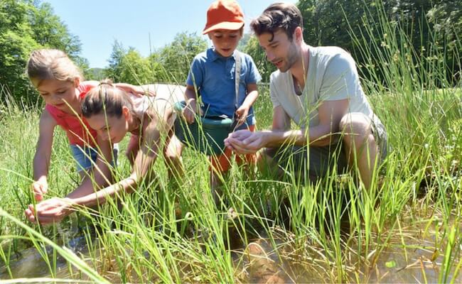 family catching tadpoles