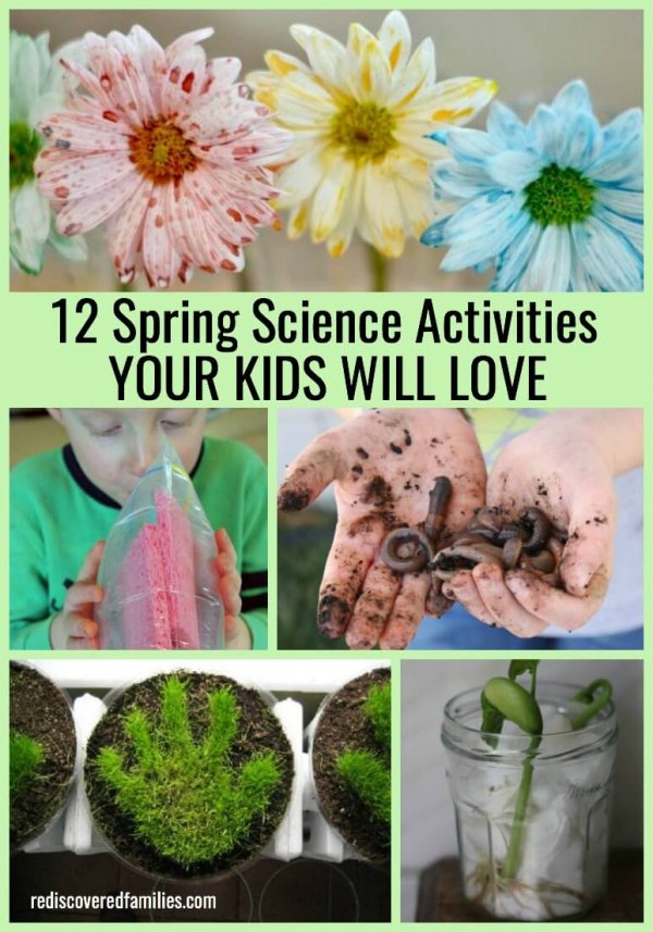 12 Spring Science Activities Your Kids Will Totally Love | Rediscovered ...