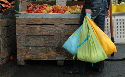 20 Family Friendly Ways to Care For The Earth