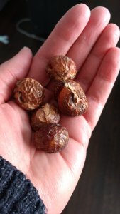 20 Family Friendly Ways to Care For The Earth