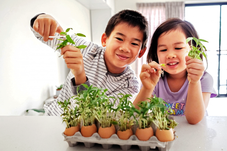 children growing plants in egg shells