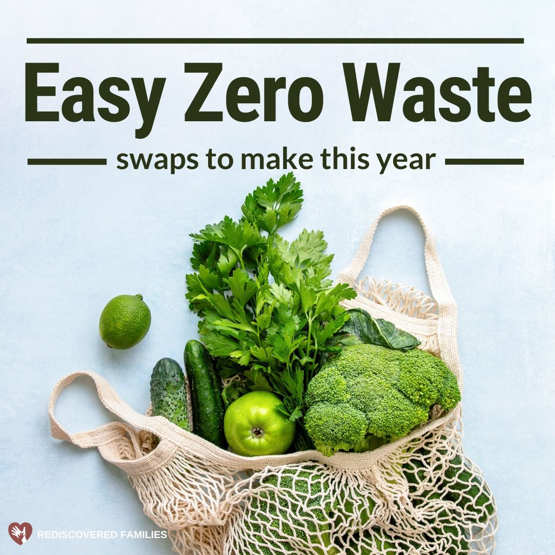 Zero Waste Swaps(2024)