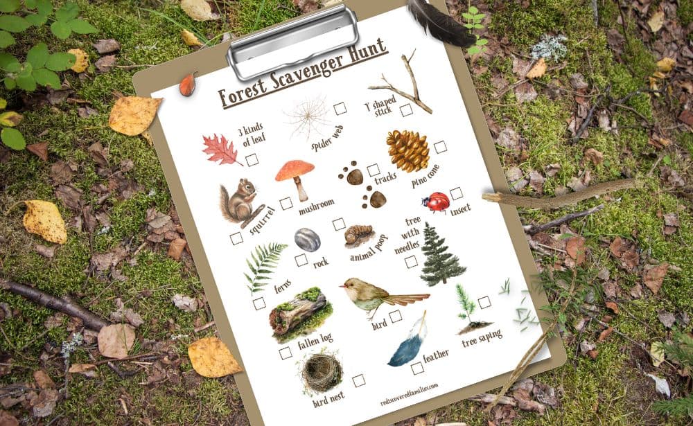 Free Forest Scavenger Hunt Your Kids Will Love | Rediscovered Families free-forest-scavenger-hunt-your-kids-will-love-rediscovered-families