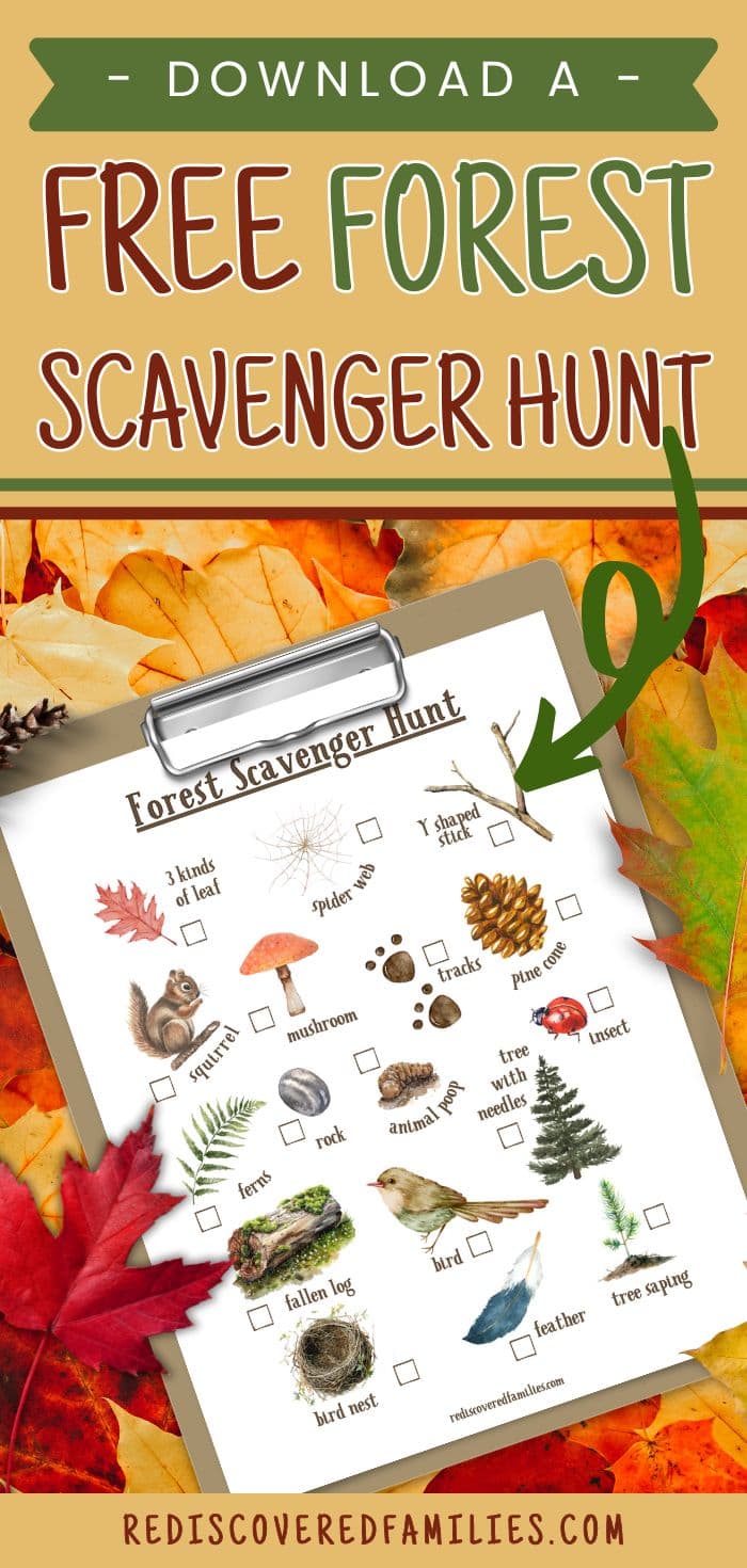 free-forest-scavenger-hunt-your-kids-will-love-rediscovered-families