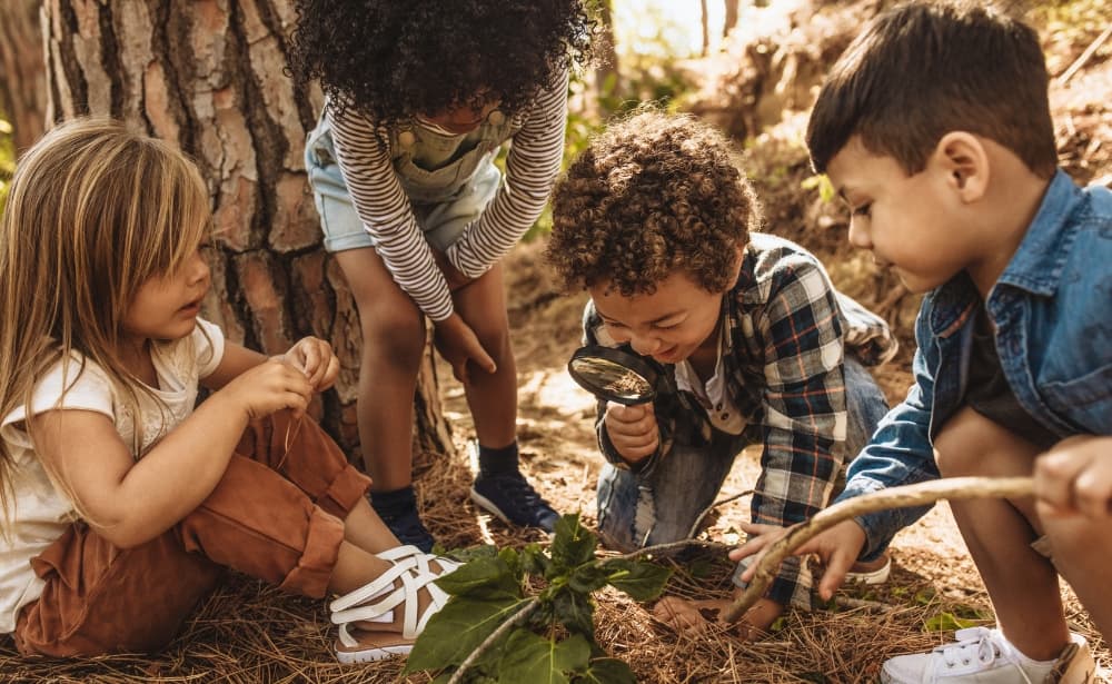 28 Forest School Activities To Entice Kids Outside | Rediscovered Families