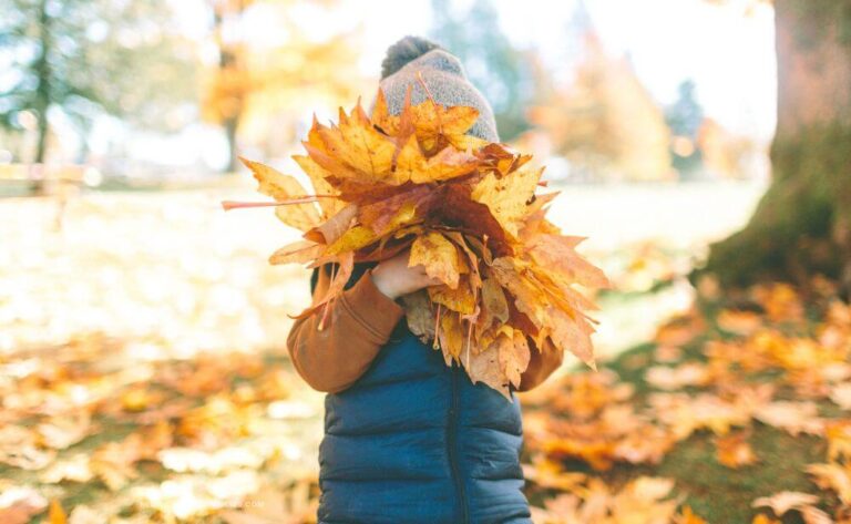 A child holding a huge armful of leaves in front of their face