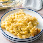 A plate of creamy baked mac and cheese with a crispy breadcrumb topping.