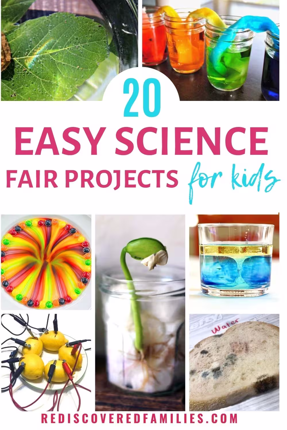 A colorful collage of easy science fair projects for kids, with a text overlay reading “20 Easy Science Fair Projects for Kids.
