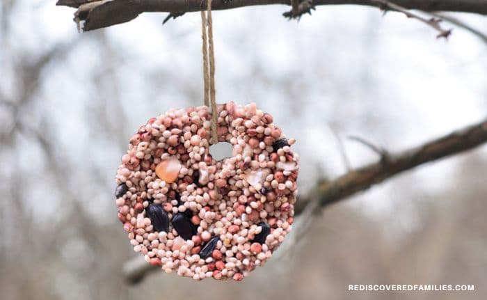 Finished birdseed ornament hanging from a tree branch with twine.