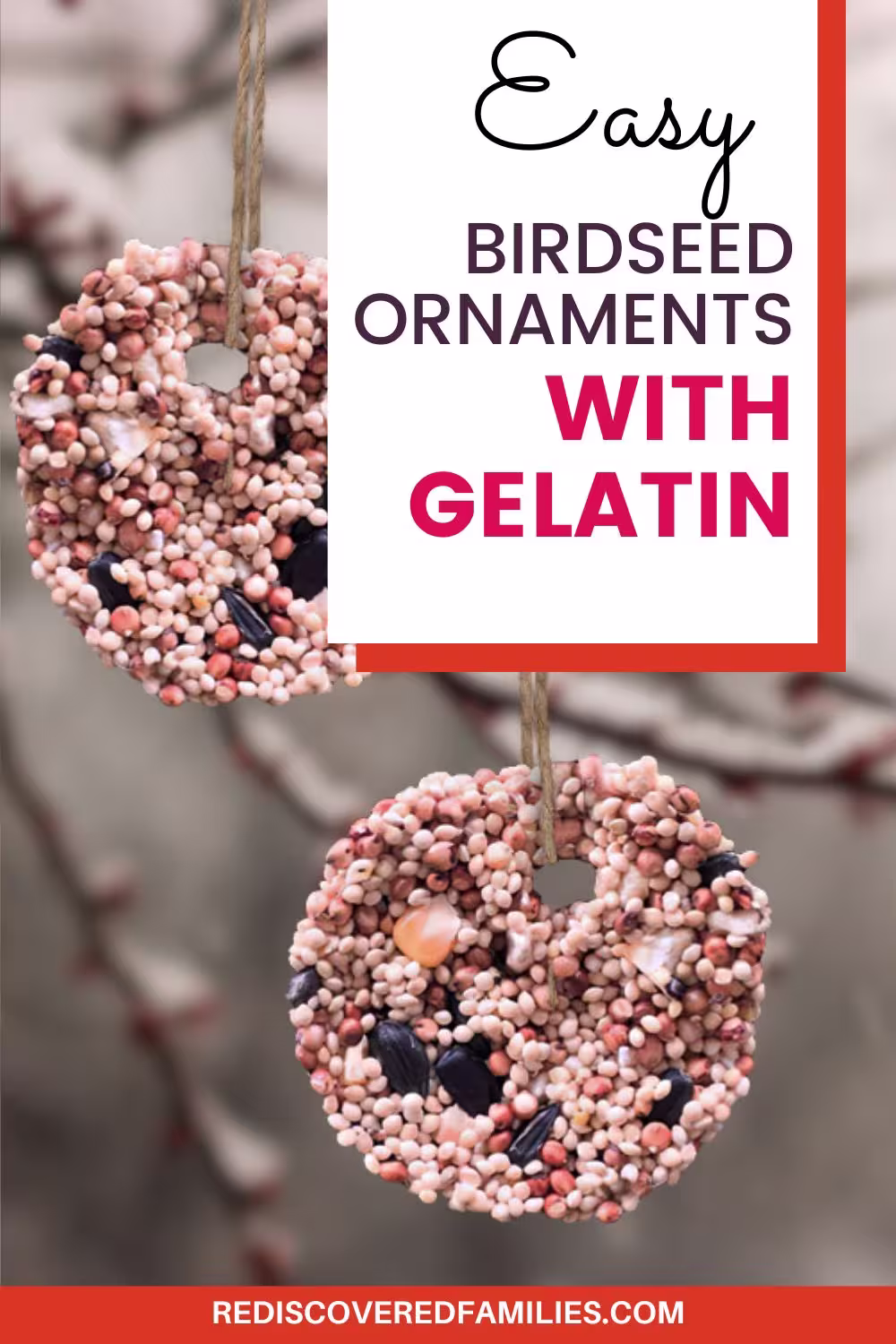 Two hanging birdseed ornaments made with gelatin and twine. Text overlay: Easy Birdseed Ornaments With Gelatin.