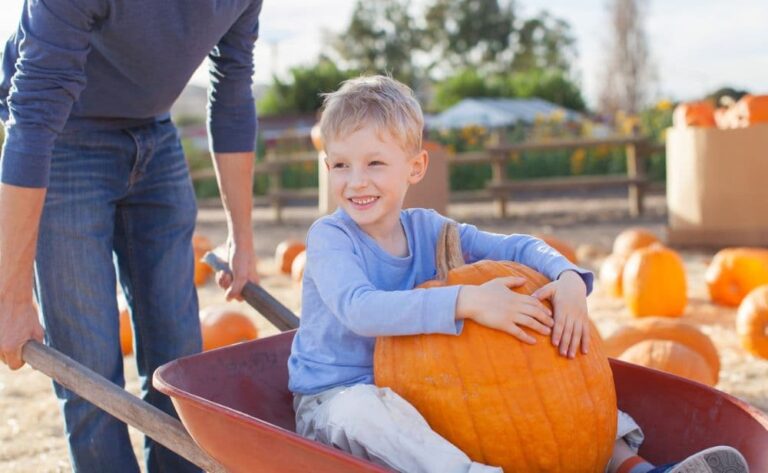 young child in a wheelbarrow holding a pumpkin